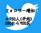 最低600RT拡散、宣伝のお手伝いします Twitter宣伝での集客。個人様のﾌｫﾛﾜｰ増加全て日本人 イメージ3