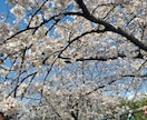あなたは輝く☆開運ビジネスネームをご提案します 独立・企業/フリーランス/実業家/自営業/芸名/源氏名など イメージ6