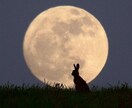 どうしても立ち上がれない方のお話をお聞きいたします そんな時もあります。心配なさらないでくださいね^_^ イメージ4