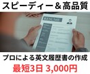 迅速＆高品質＆低価格！プロが英文履歴書作成します デザイン省略＆シンプル校正で、価格を押さえて高品質な内容！ イメージ1