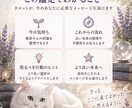 タロットで今のお悩みを丁寧にうらないます 気持ち、未来、人間関係を丁寧に読み解きます イメージ4