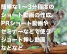 簡単はPRショート動画、挿し動画作成ます どんなショート動画でも作成します。1〜3分くらいの動画 イメージ1