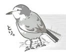 鳥☆可愛く！☆ゆるく！☆ペットや動物を描きます ゆるーいデフォルメ動物を提供！ イメージ5