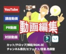 YouTubeや各種SNS・講演動画編集します AI動画生成・ビジネス系・ゲーム実況YouTuber歓迎！ イメージ1