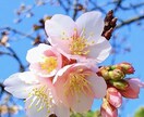 貴方の恋愛のお悩みを聴きアドバイス致します 様々な恋愛鑑定をしてきて良い方向へ導くアドバイスを致します イメージ1