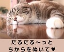 子育て応援❣️公認心理師がお話お聞きします 初回限定◆回数無制限◆不安/愚痴/質問/発達障害/不登校 イメージ6