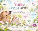 大切なペットを7日間クリスタルの光で癒します その子に合わせたクリスタルを選び、7日間やさしく寄り添います イメージ7