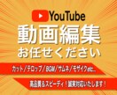 youtube向けの動画編集、作成いたします 依頼主様が安心して取引できる動画編集、作成をいたします イメージ1