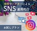 現役マーケターがアカウント運営します ＼初回出品割引／数字を追って成果をしっかりと出して行きます イメージ1