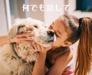 5分でも！心の悩みに寄り添います 心のモヤモヤをすっきりしましょ！ありのままを受け止めます♪ イメージ1