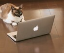 キャリアカウンセリング・働く人の心理相談受けます テキストか動画を使ってキャリアの悩み相談に応じていきます イメージ1