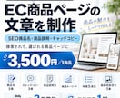 EC商品ページのSEO文章を一式作成します 商品名3案・説明文・訴求コピーまでまとめて納品！ イメージ1