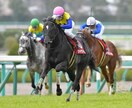 競馬に勝ちたい方にコツを教えます 競馬初心者、また競馬になかなか勝てない方 イメージ1