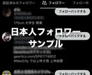 Twitterを拡散し日本人フォロワーを増やします X日本人フォロワー増加！最大30,000人対応可能！ イメージ3