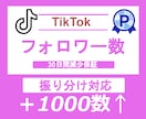TikTokフォロワー1000人増やします TikTokフォロワー数＋1000人～⭐️減少保証付き⭐️ イメージ1