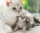 二人の未来♡相性を占います 運命の流れ＆あの人との今後を占ってみませんか？ イメージ5