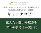 5月も納期柔軟対応中！『キャッチコピー』提案します 印象に残るコピーを作成！商品・サービスなどのHPやECに。 イメージ1