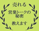 あなた専用の営業トーク即対応で作成します センス不要！売り込み不要！相手に喜ばれるトーク術 イメージ1