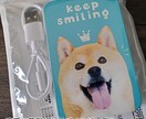 子供やペットの写真でモバイルバッテリーを制作します 災害時用･仕事用に！PSEマーク取得済みの安心をプレゼント！ イメージ7