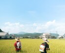 地域や会社、飲食店のPR動画制作します 4Kで安くPR動画制作をしたい方へ イメージ2