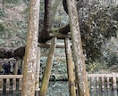 場所を選ばず⭐︎霊視⭐︎チャット鑑定いたします 電話ができない時、話すのが苦手な方、後で見返したいあなたへ イメージ4