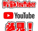 YouTuberとしての基本をお伝えします チャンネル1000人未満の方向け！自身の活動の全て共有します イメージ1