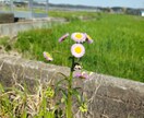 商用利用OKの写真販売(景色　自然　など)をします おしゃれでSNSやブログなどに使いやすい写真を厳選しました。 イメージ1