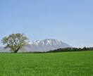 東北を代表する山・岩手山と花々の写真を提供します 東北を代表する山・岩手山と花々 イメージ1