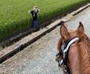 乗馬のお悩み解決致します 的確なアドバイスと驚きの解決策 イメージ2