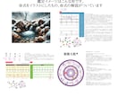 四柱推命・紫微斗数を用い多角的に人生を占います 〜人生を切り開くお手伝いをします〜 イメージ9