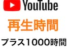 YouTube再生時間＋1000増加させます 6月までの特別価格になります！ イメージ1