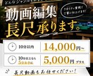 YouTube、SNS各種　動画編集全般承ります 迅速な納品と柔軟な対応であらゆる案件にご対応します！ イメージ1