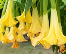 妊娠子宝鑑定～そばにいるお子様の魂を鑑定いたします 一日でも早く、あなたのそばにいるお子様の魂に会えますように イメージ10
