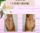 手相の全鑑定、最も詳細に鑑定します オリジナルカラーガイド&特別手相動画付きです イメージ4