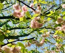 女性限定✨心に寄り添い☘️優しくお話お聞きします 安心してゆったり話して下さいね❤️否定なし優しく傾聴します✨ イメージ3