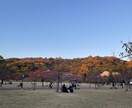 ちょっと一息⭐️3日間交換日記で寄り添います サポート☘️お悩み☘️雑談☘️安心感☘️癒し☘️心の整理 イメージ6