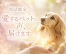電話鑑定・愛するペットの声、届けます ペットの気持ちが知りたいあなたへ イメージ1