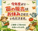 売れるチラシを作成してます ・直売所の売上を上げたい・安くても効果のあるチラシが欲しい イメージ1