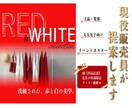 現役販売員が集客ポスター・SNS画像を作ります 現役アパレル販売員が売れる視点で制作。上品なデザインが得意 イメージ1