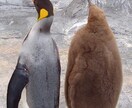 なんか虚無感、空っぽな心の声を聞きます 自分の気持ちもどうしたらいいかも分からない。全部話そう。 イメージ4