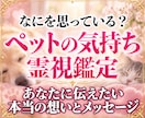 30年の霊視経験で【ペットの気持ち鑑定】を行います 犬猫の本音と行動の裏にある想い、虹の橋の子との繋がりも視ます イメージ1