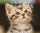 なぜ！？噛む逃げる！愛するペットの気持ちを届けます 貴方の愛の心をお届けすることで変化を実感 イメージ9