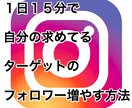 １日１５分で圧倒的なフォロワーの増やし方教えます 自分の求めてるターゲットのみフォロワー増やせます イメージ1