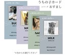 SNS映えするおしゃれな「うちの子」名刺作ります わんちゃん猫ちゃん ペット名刺 ミニマルくすみカラーデザイン イメージ1