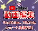 YouTube動画編集します カット、字幕挿入、部分編集からお任せ編集など イメージ1