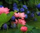 ユニコーン五枚でアドバイスします ★素晴らしいお仕事に♬*゜素敵な恋を♬*♬*♬*♡ イメージ5