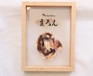 愛するペットへ【クリアメモリアルボード】作成します ペットとの思い出をインテリアとして飾れる！写真・肉球付き イメージ7