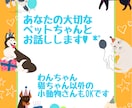 ペットちゃんの気持ち♡飼い主さんの想いを届けます 犬、猫、小動物、お空のコもOK♡アニマルコミュニケーション イメージ1