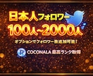 X・旧Twitterの日本人フォロワーを増加します X・旧Twitterの日本人フォロワーを100人増加します イメージ1