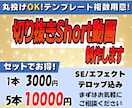 丸投げもOK！切り抜きのショート動画を作成します VTuber様や配信者様必見！切り抜きに悩む時間を配信時間に イメージ1